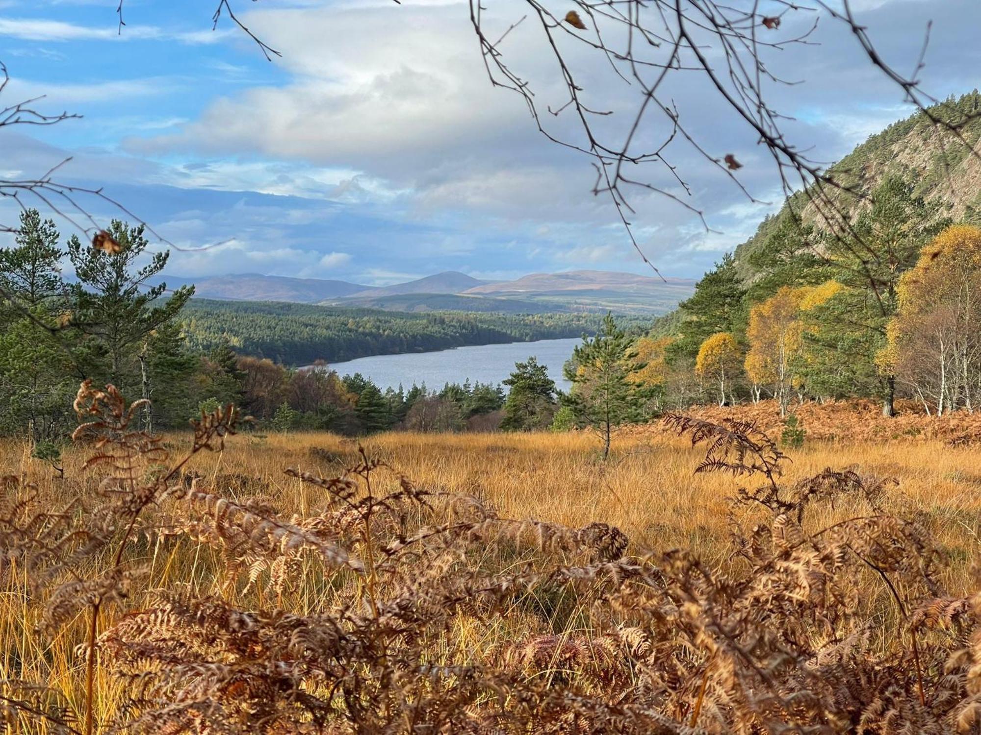 The Highlander Leilighet Tain Eksteriør bilde